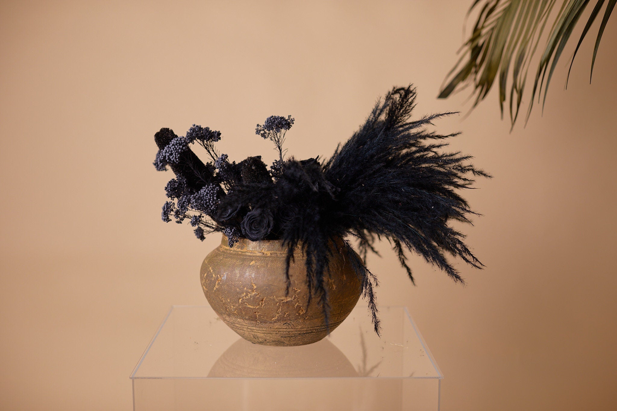 Black Pampas Grass Wedding Statement Centerpiece / Home Decoration Dried Flowers