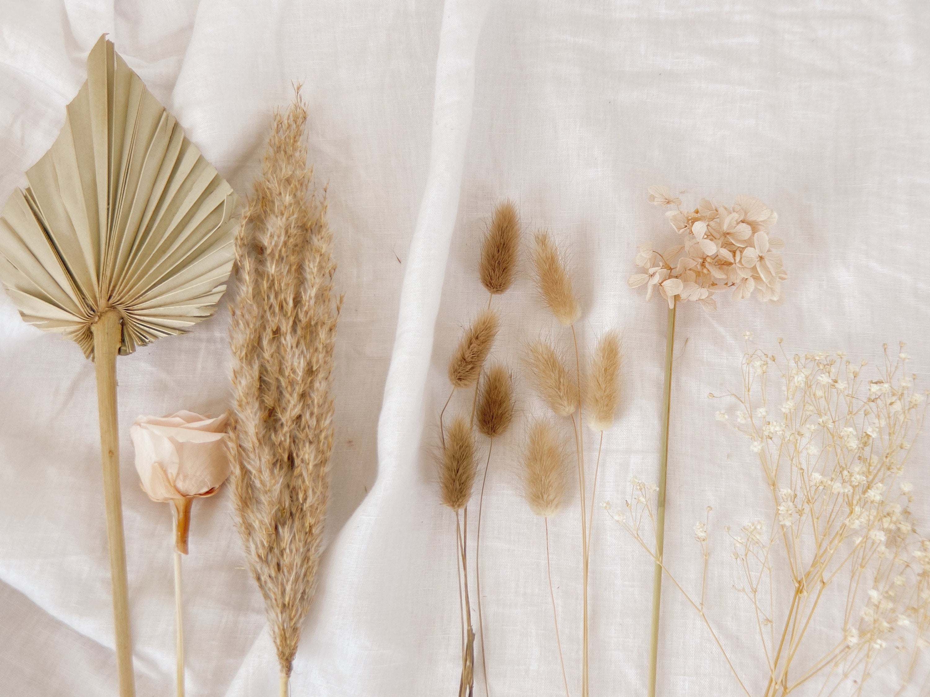 Natural Baby's Breath Pampas Grass Dried Flower Arrangment / Natural Palm Spear / Eternal Blooms