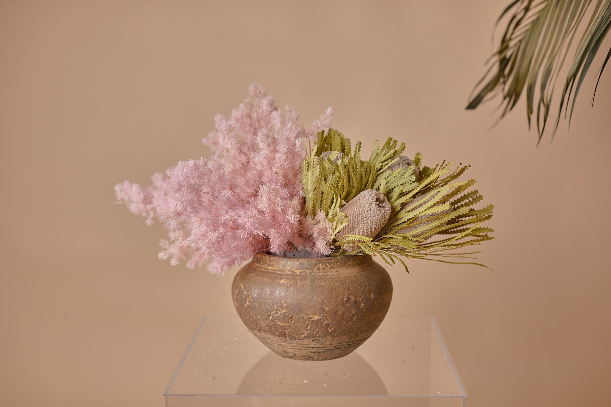 Preserved Banksia Boho Home and Wedding Decor / Pink Fluffy Cloud Fern / Dried Flowers