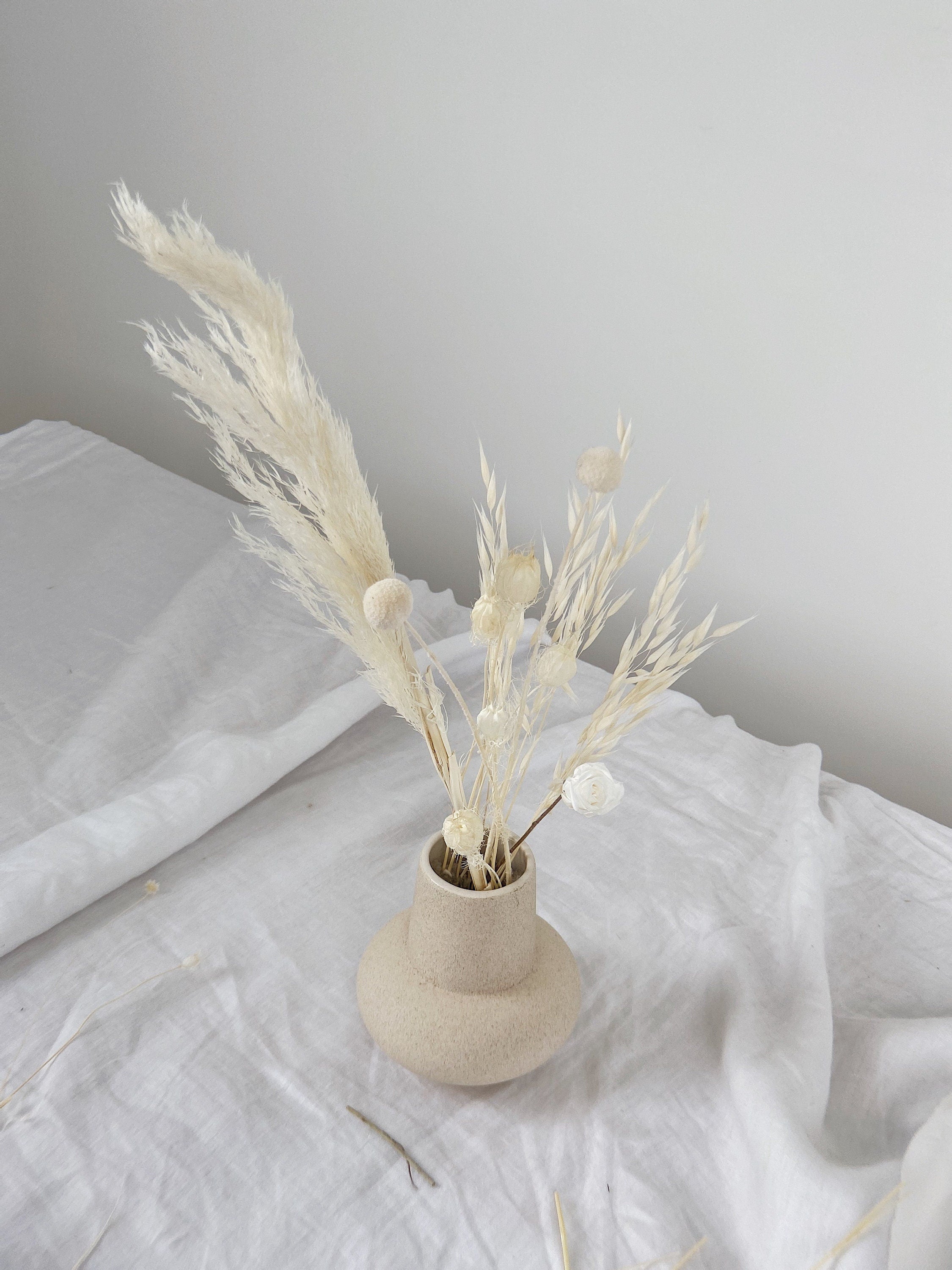 All White Pampas Grass, Billy Balls, Preserved Rose Vase Filler / Dried Flower Home Decoration