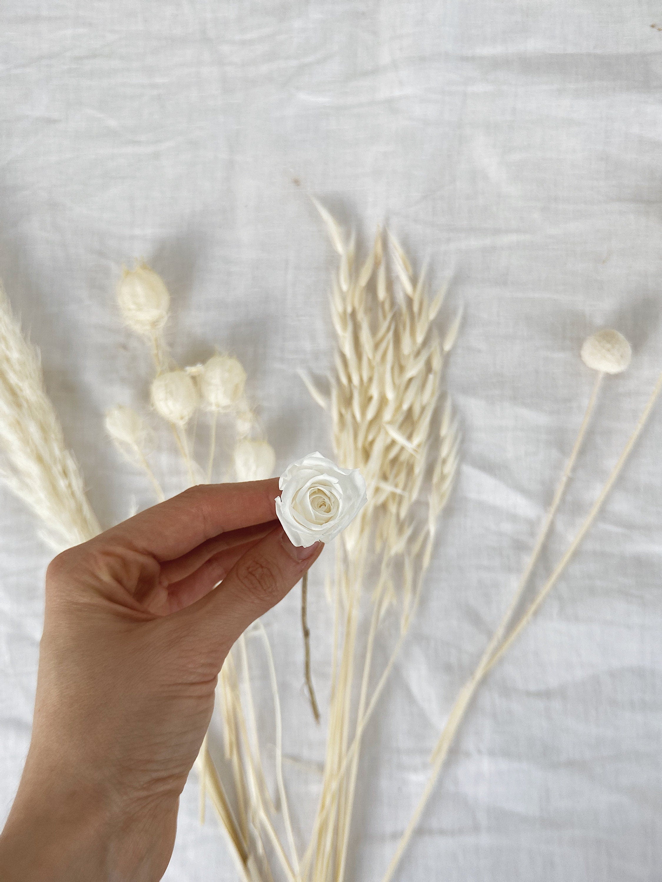 All White Pampas Grass, Billy Balls, Preserved Rose Vase Filler / Dried Flower Home Decoration