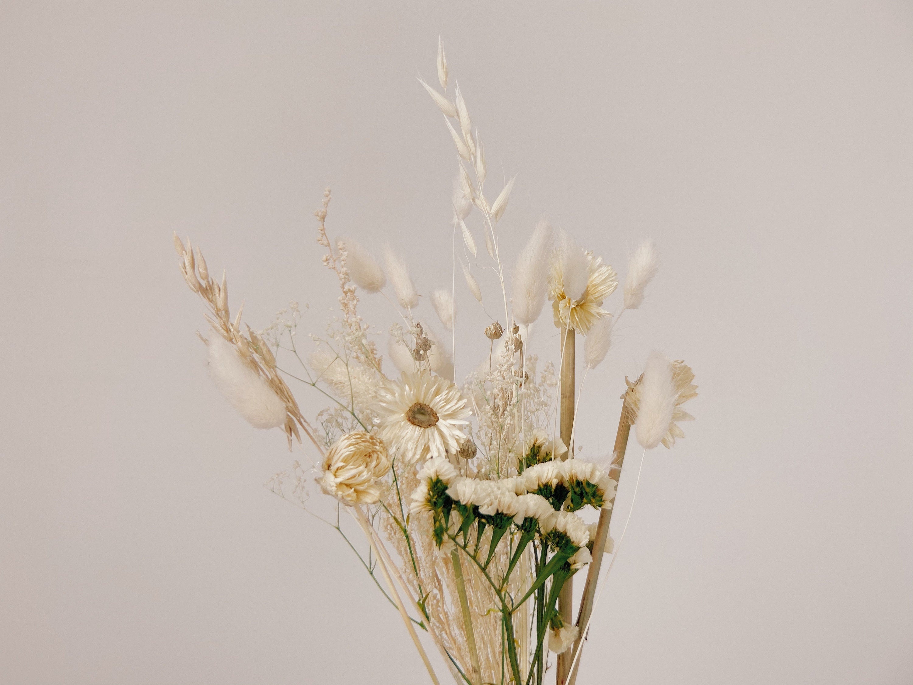 Natural Dried Helichrysum Bunny Tail Floral Vase Arrangment / Dried Flowers