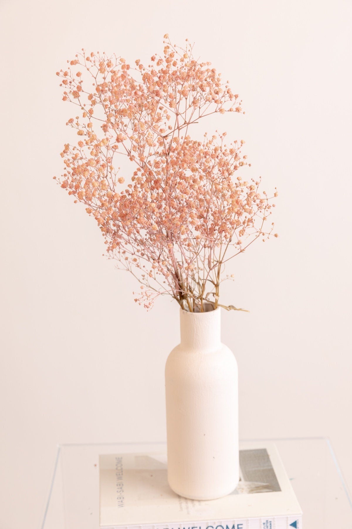 Painted Pastel Baby Pink Dried Gypsophila - Baby's Breath Flowers