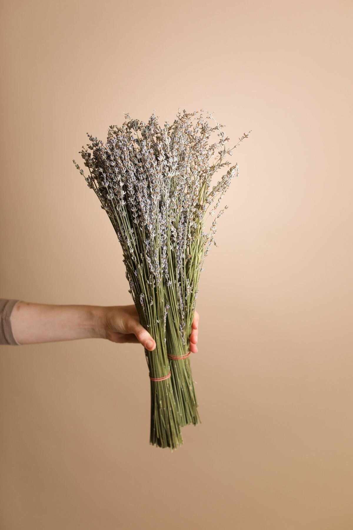 Dried Lavender - Naturally Fragrant Pale Lavender