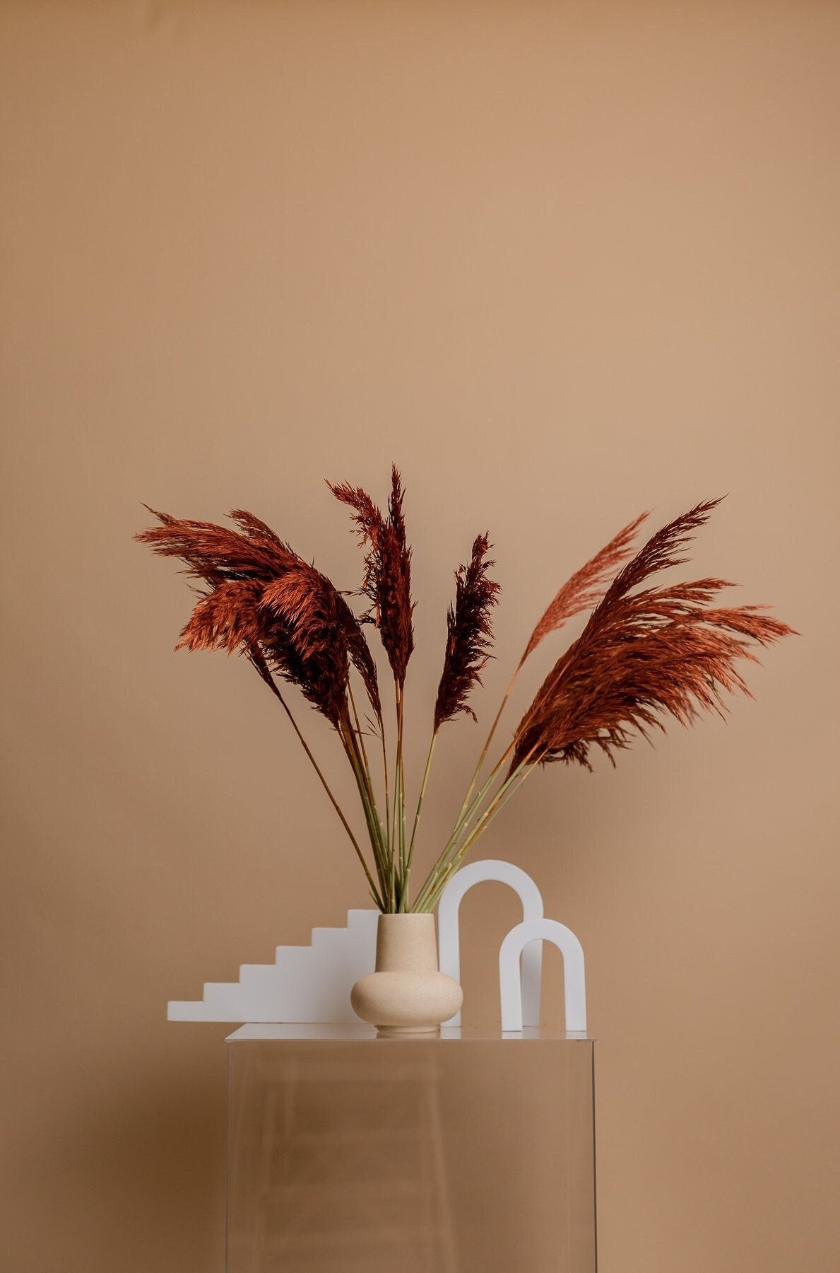 Susuki Japanese Pampas Grass - Burnt Orange