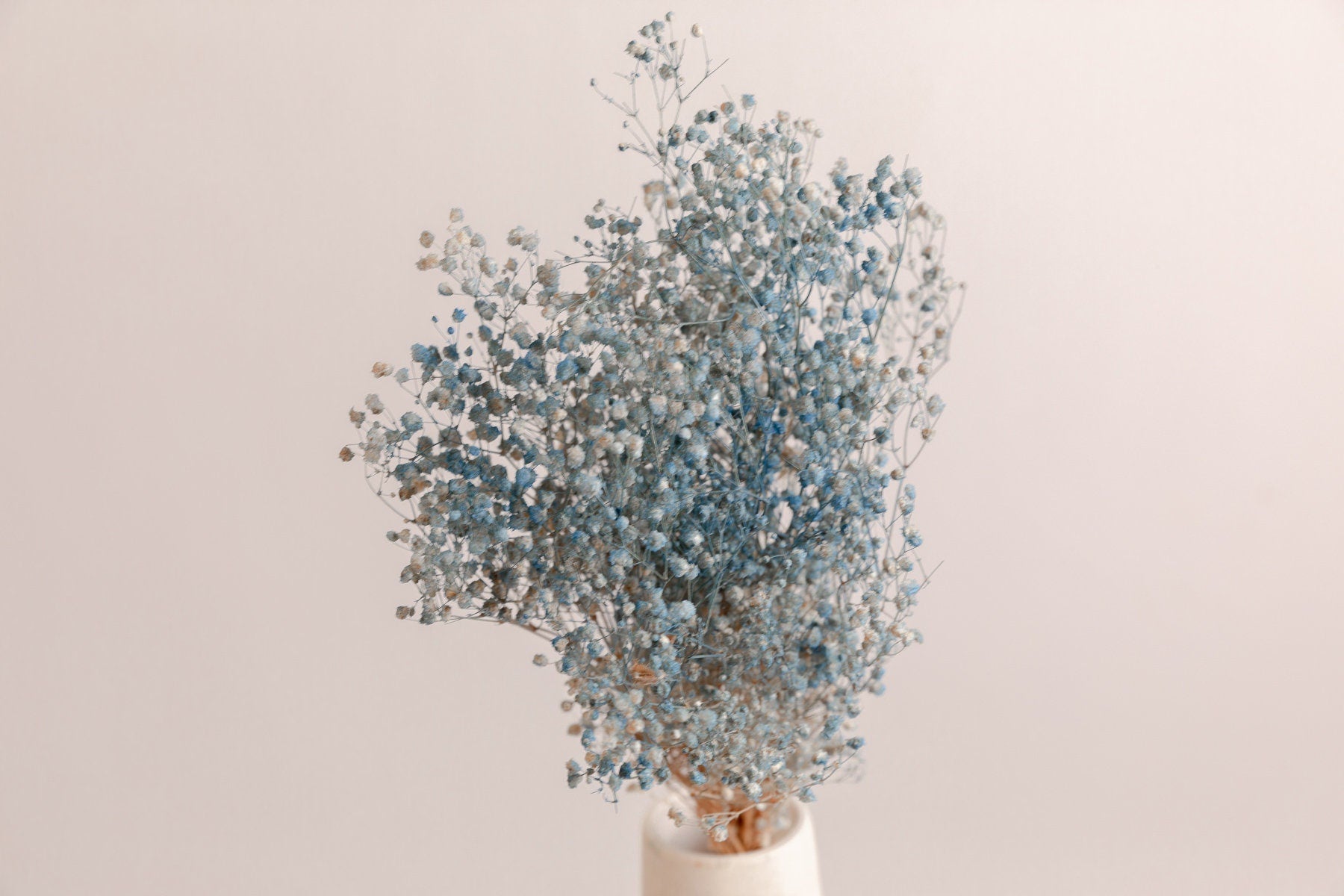 Painted Blue Hues Dried Gypsophila - Baby's Breath Flowers