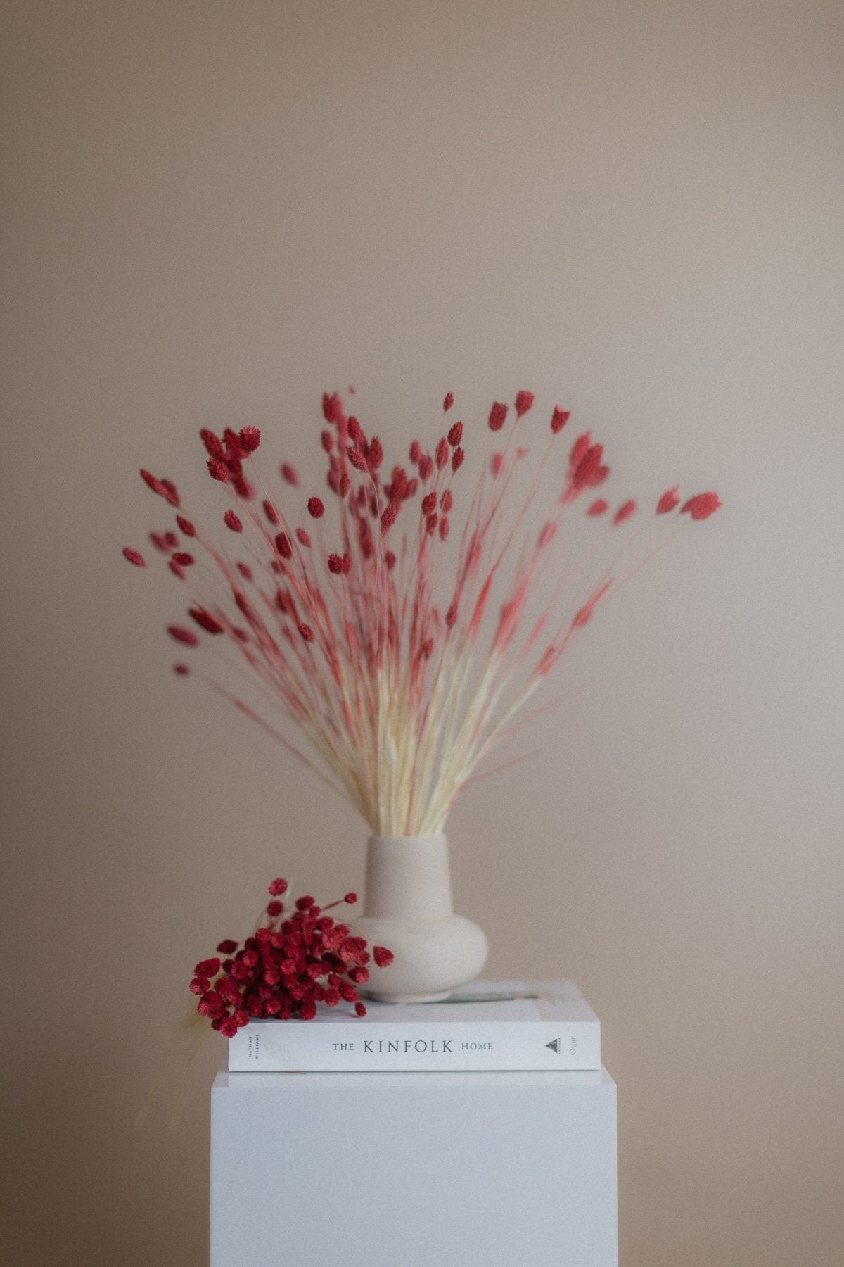 Dried Phalaris - Deep Red Canary Grass