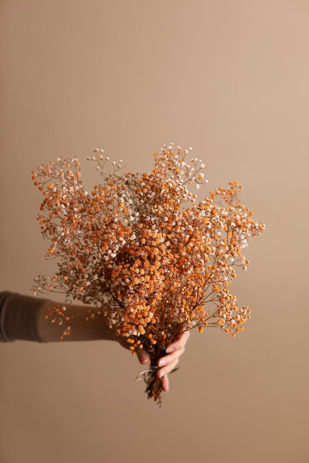 Painted Orange Dried Gypsophila - Baby's Breath Flowers