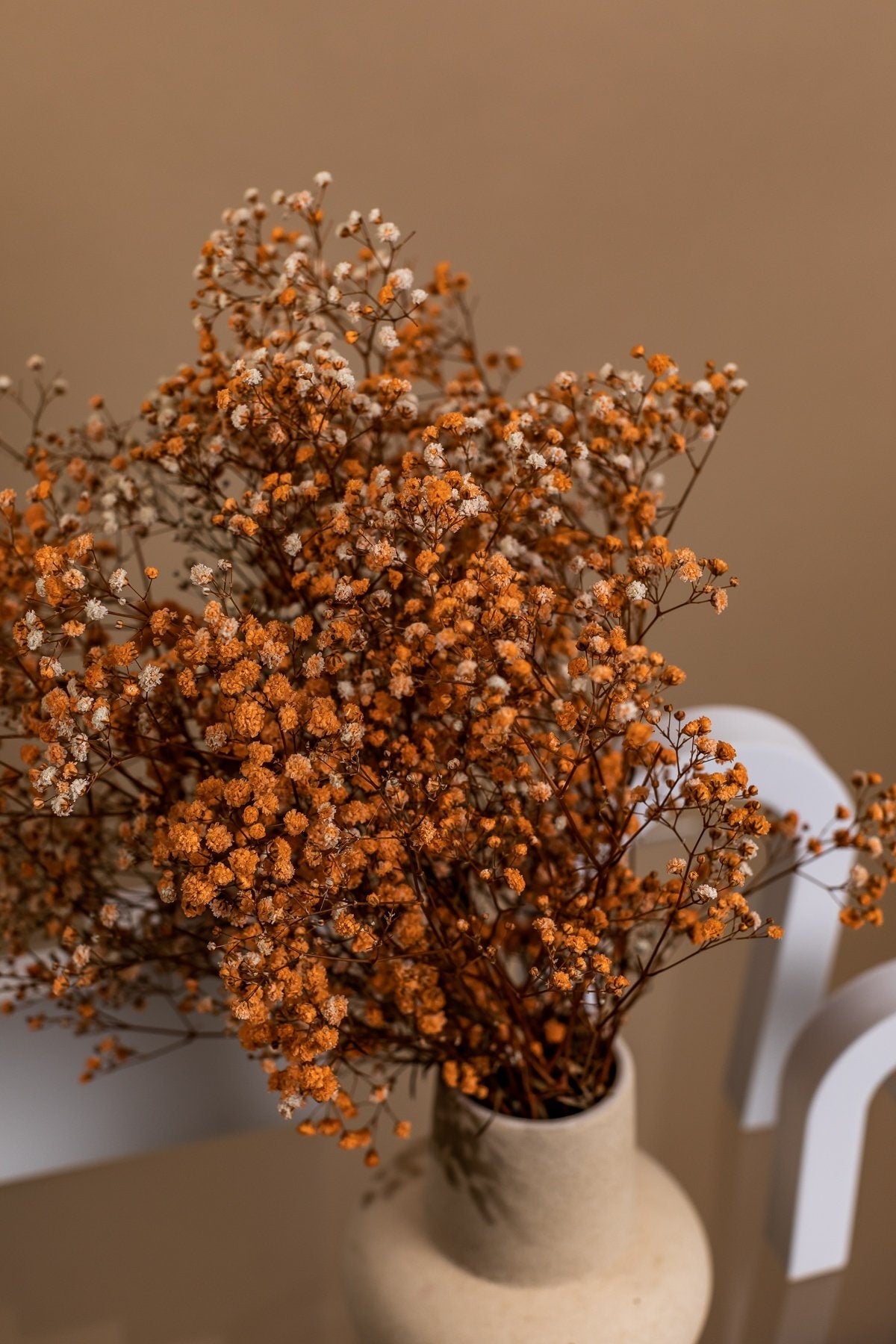 Painted Orange Dried Gypsophila - Baby's Breath Flowers