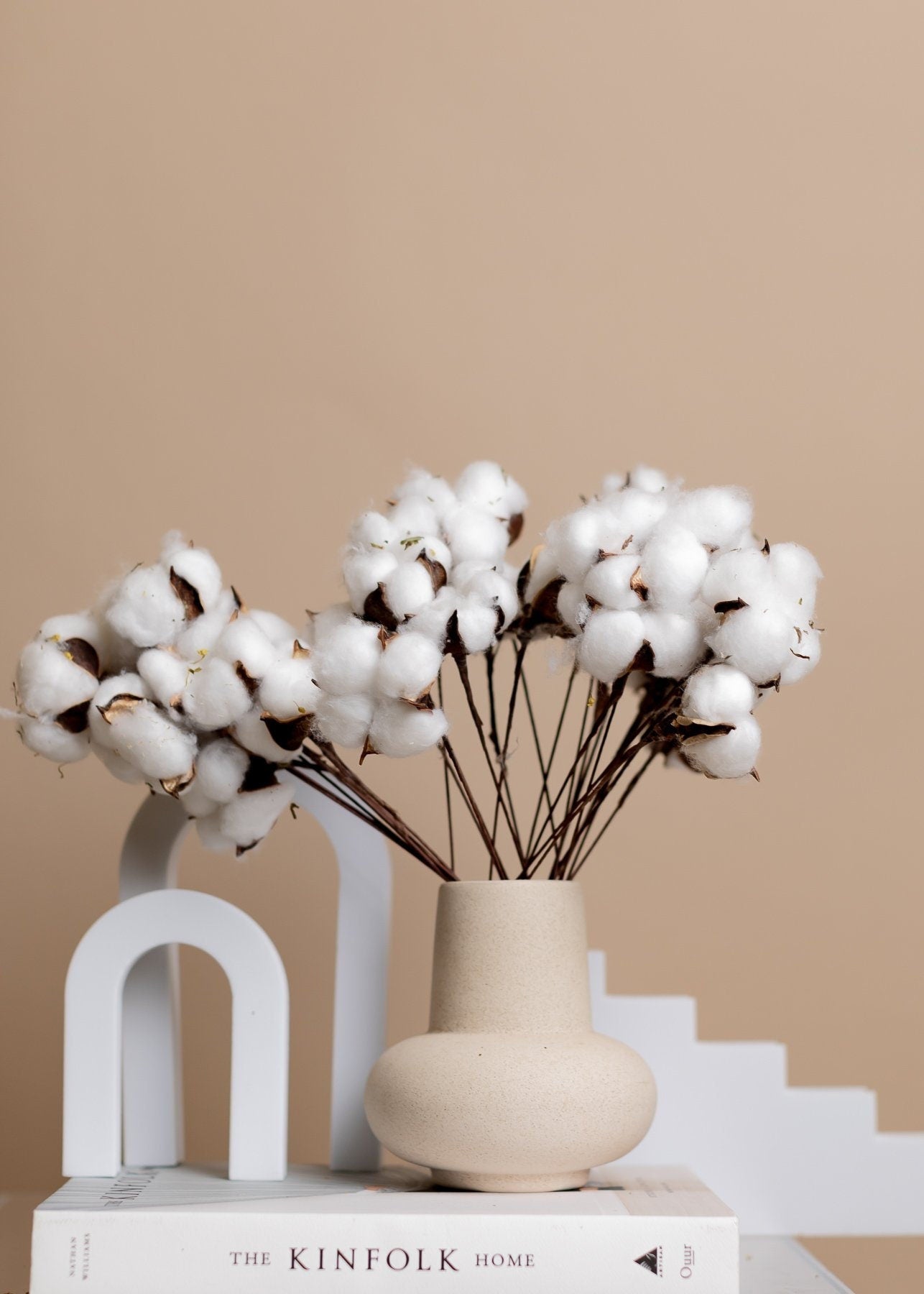 Dried Cotton Stems - 10 Stems Bunch