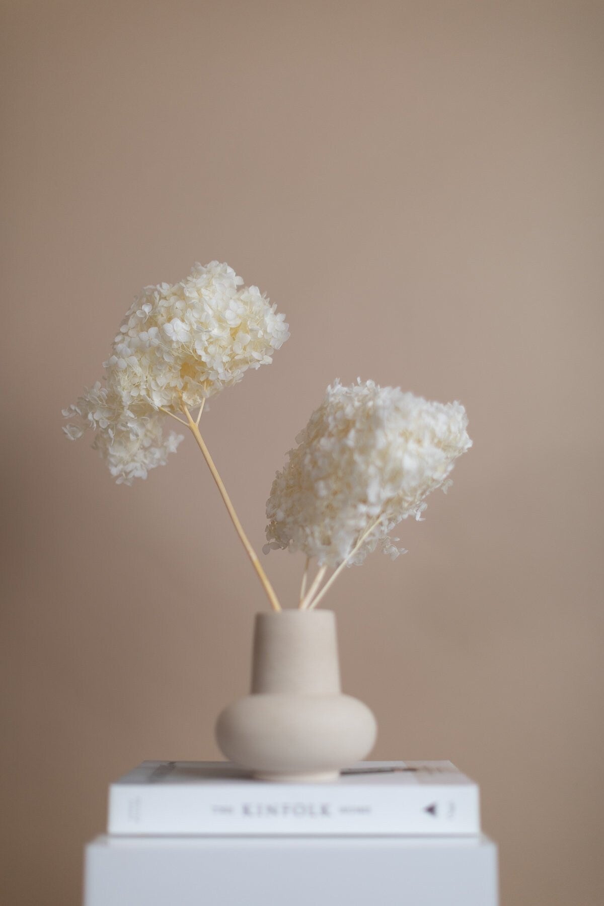 Preserved Stabilised White Hydrangea - High Quality