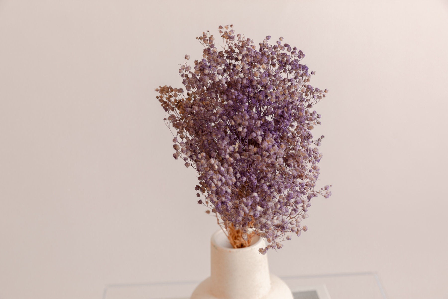 Painted Purple Dried Gypsophila - Baby's Breath Flowers