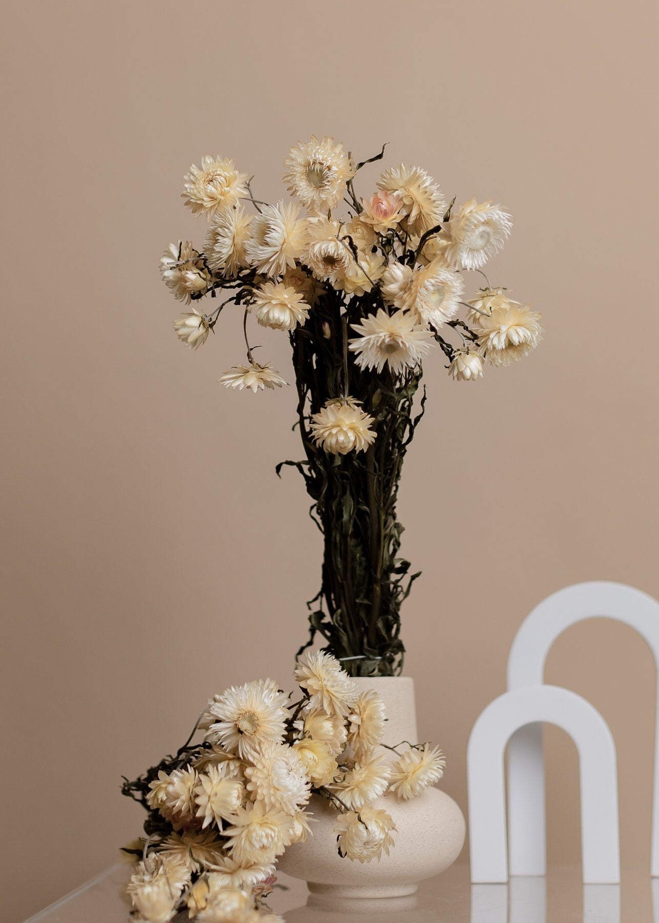 Natural Cream Dried Helichrysum - Cream Straw Flowers