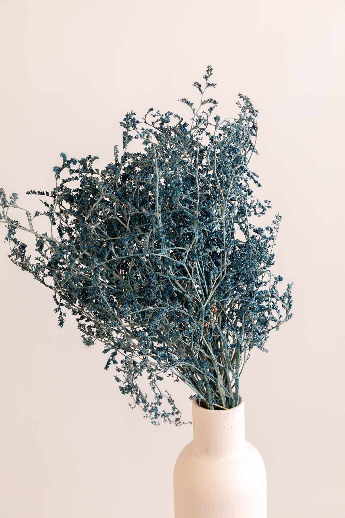 Painted Blue Sea Lavender - Dried Limonium