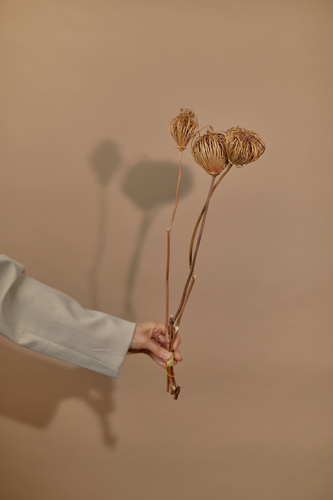 Dried Wild Fennel Heads Natural / Rustic Home Decor / Rustic Wedding Decoration / Wholesale Dried Flowers