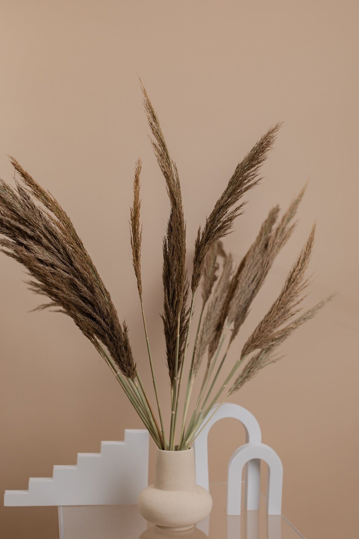 Susuki Japanese Pampas Grass - Natural Dark Taupe