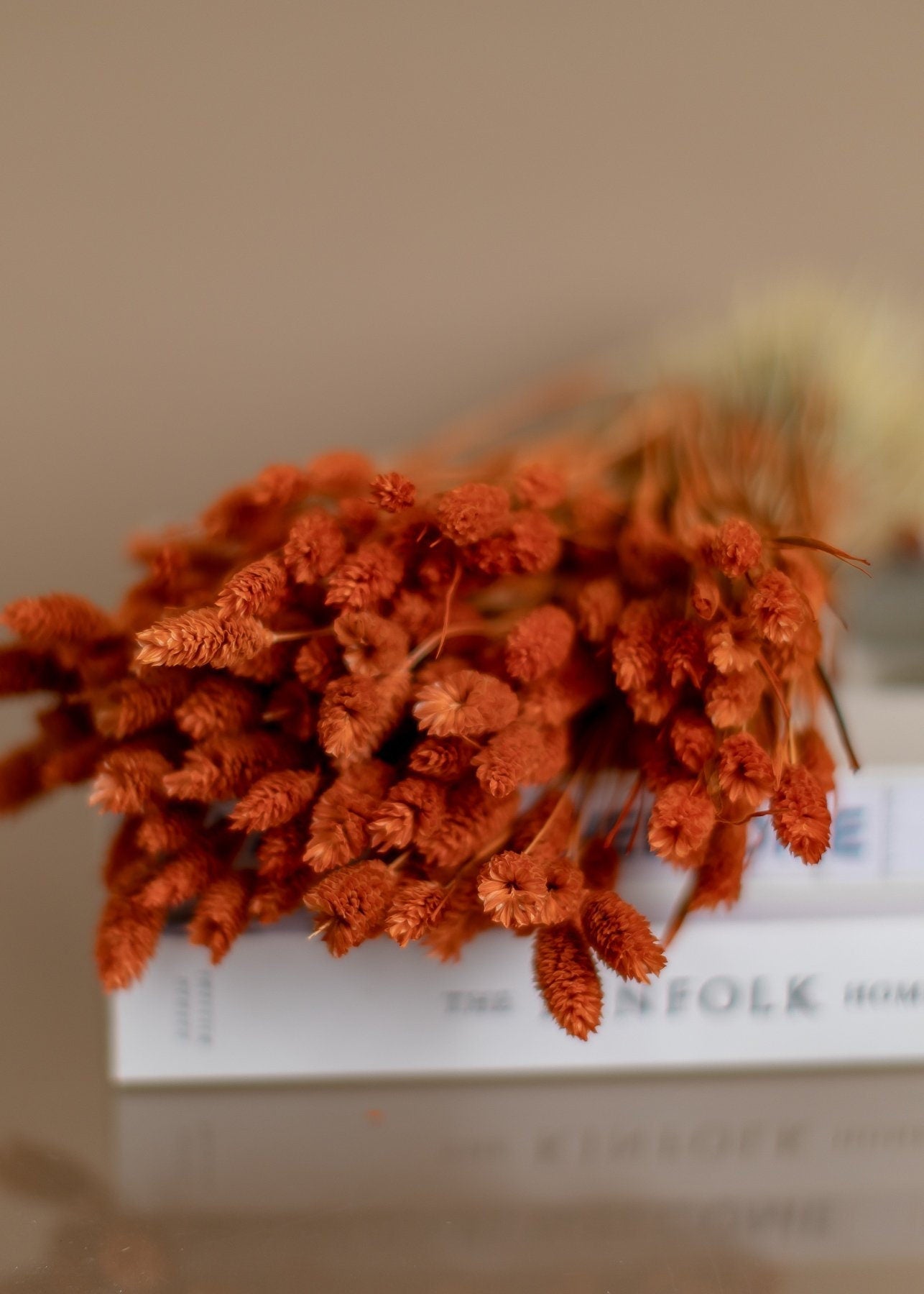 Dried Phalaris - Orange Canary Grass