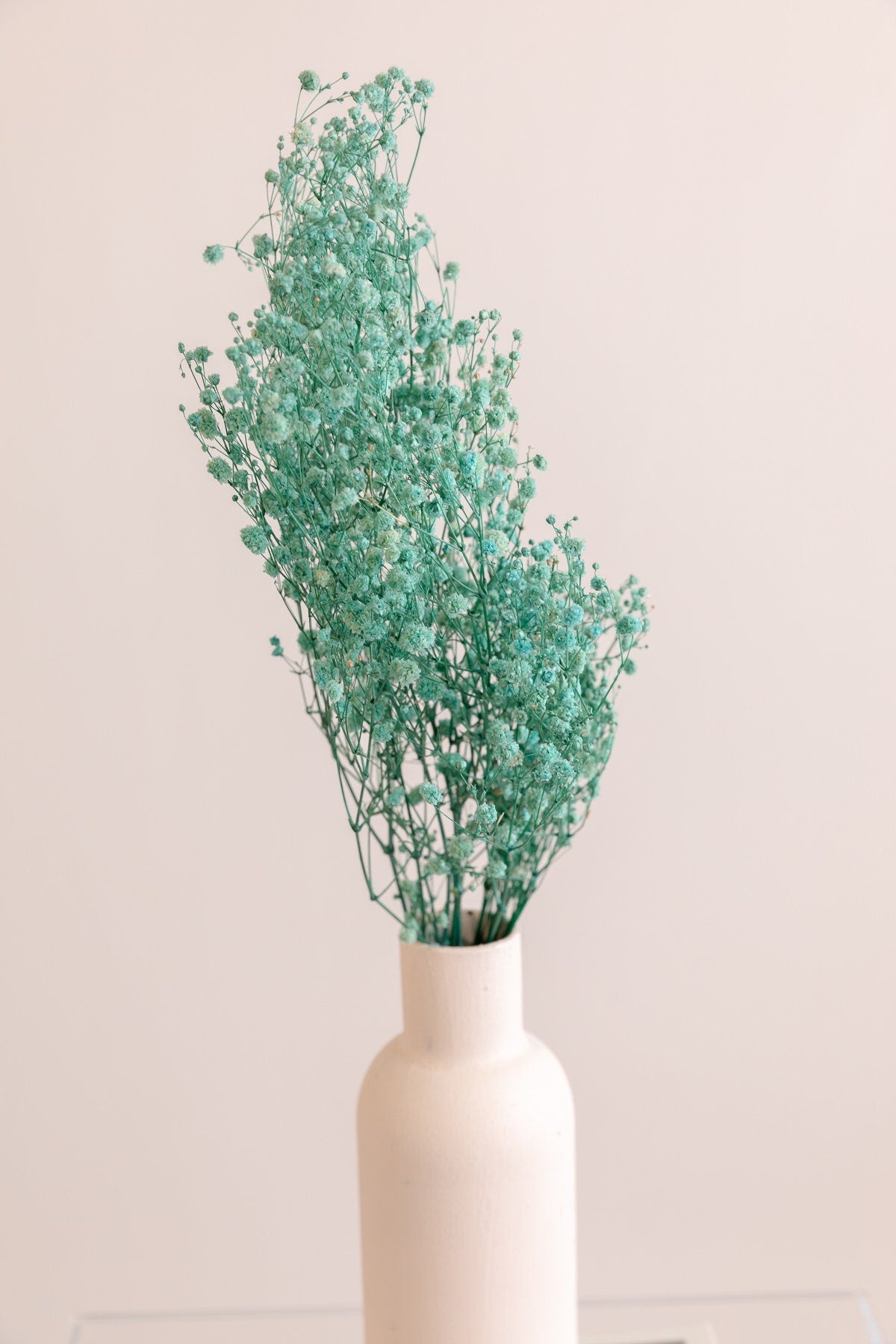 Painted Water Green Hue Dried Gypsophila - Baby's Breath Flowers