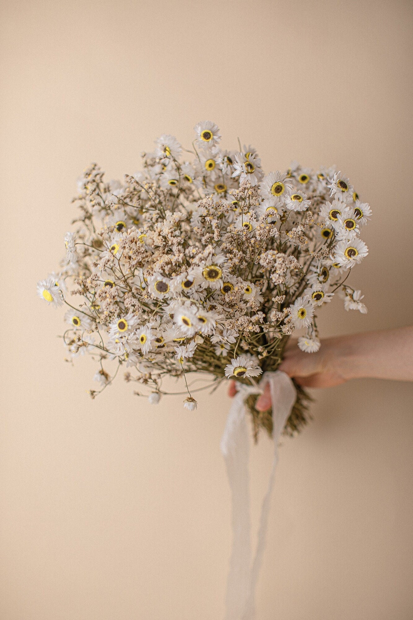 Dried Flowers Vase Arrangement - Daisy White & Cream