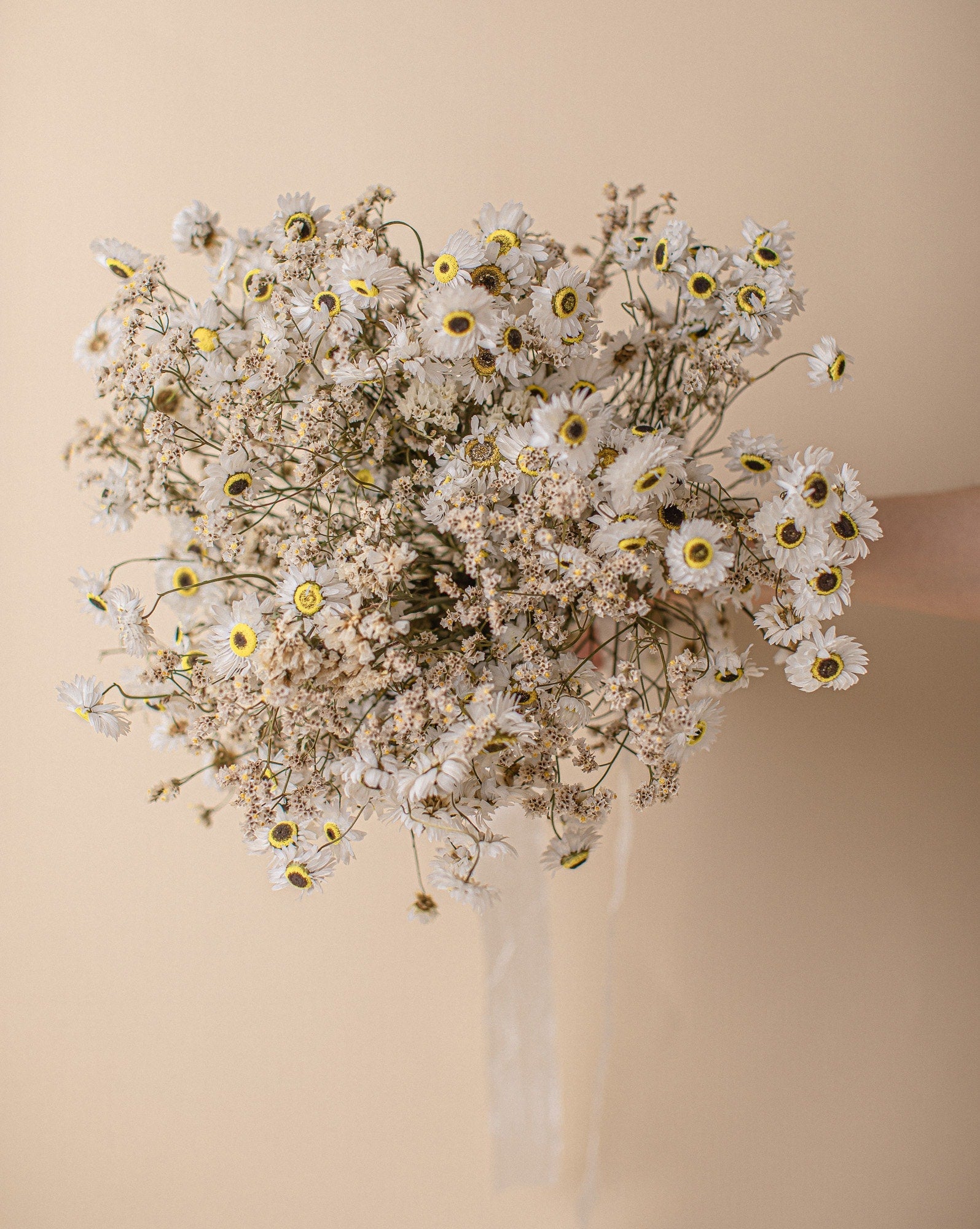 Dried Flowers Vase Arrangement - Daisy White & Cream